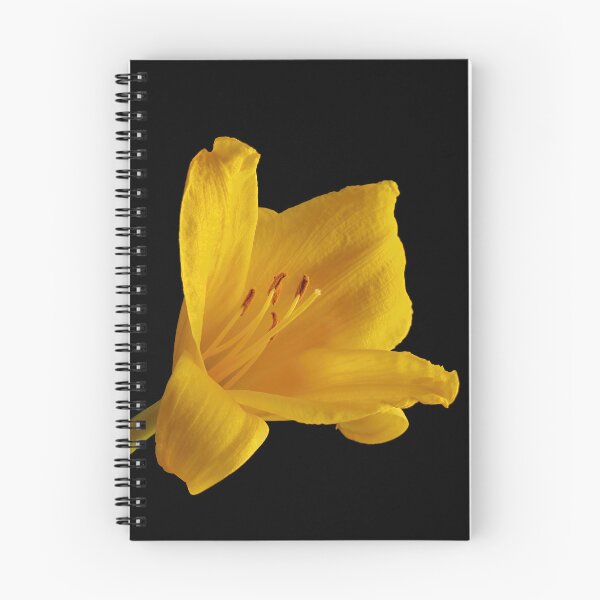Item preview, Golden Bloom in Shadow - Yellow Daylily designed and sold by Armadillo222.