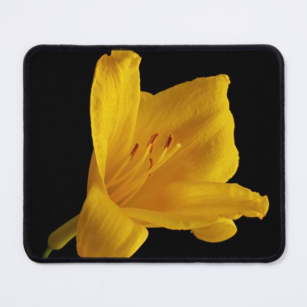 Item preview, Golden Bloom in Shadow - Yellow Daylily designed and sold by Armadillo222.