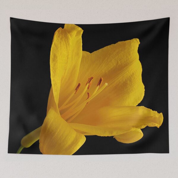 Item preview, Golden Bloom in Shadow - Yellow Daylily designed and sold by Armadillo222.