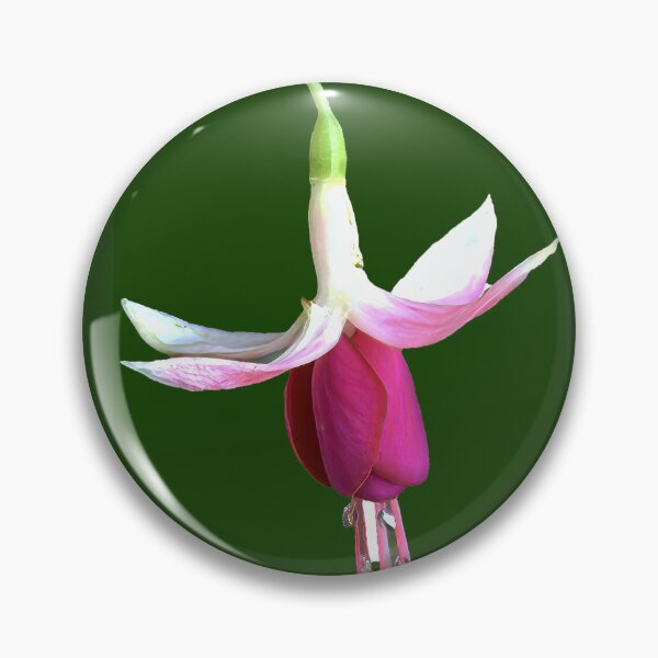 Item preview, Suspended Elegance: Anatomy of a Fuchsia Bloom designed and sold by Armadillo222.