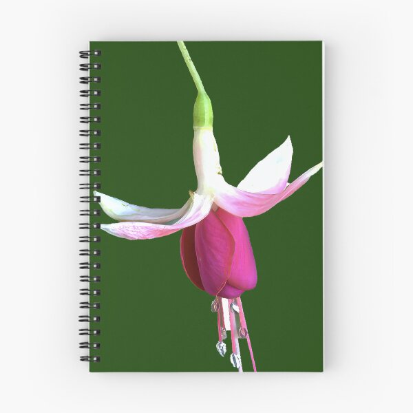 Item preview, Suspended Elegance: Anatomy of a Fuchsia Bloom designed and sold by Armadillo222.