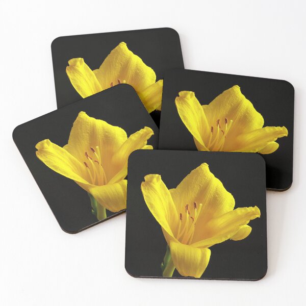 Item preview, Shadowlit Lily: A Study in Contrast designed and sold by Armadillo222.