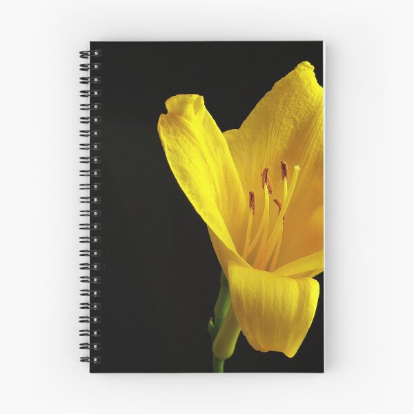Item preview, Shadowlit Lily: A Study in Contrast designed and sold by Armadillo222.