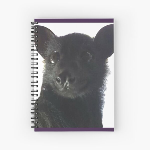 Item preview, Larry The Black Flying Fox Bat. designed and sold by BabyBats.