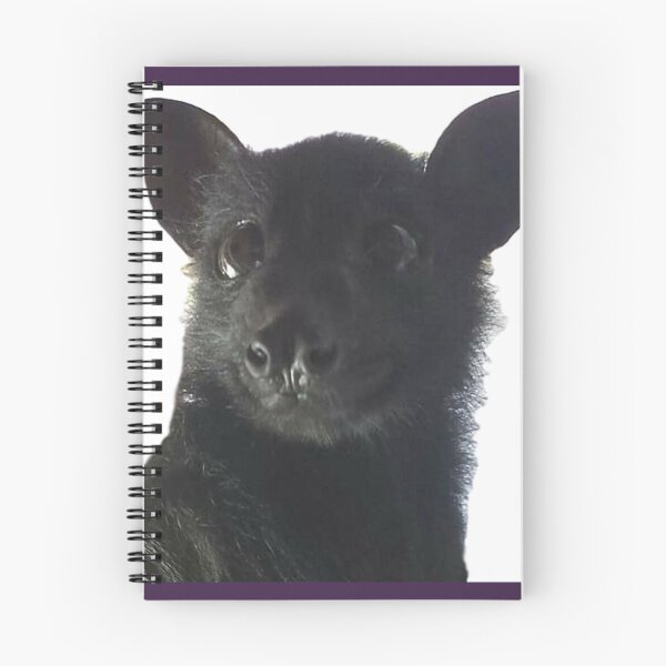 Item preview, Larry The Black Flying Fox Bat. designed and sold by BabyBats.
