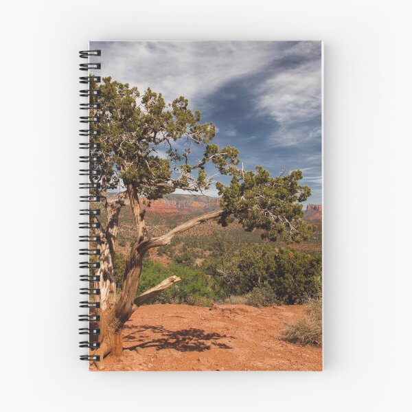 Item preview, A Distant Courthouse - 1 © designed and sold by © Hany G. Jadaa © Prince John Photography.