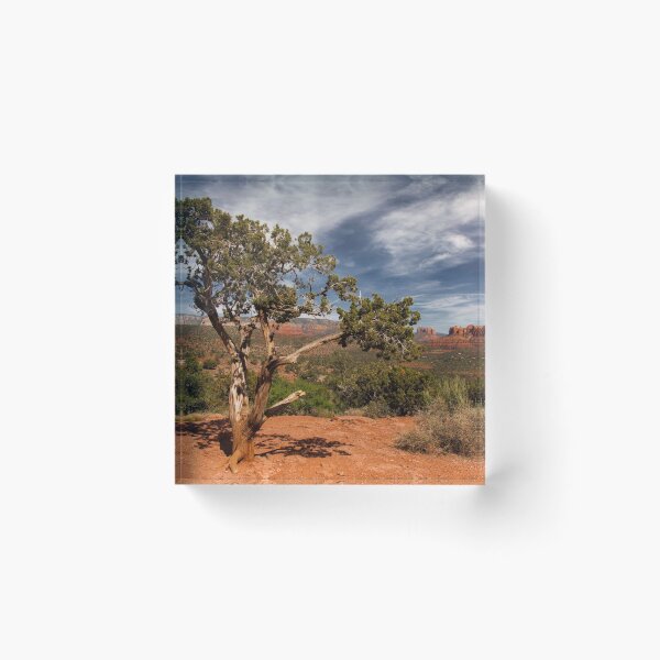 Item preview, A Distant Courthouse - 1 © designed and sold by © Hany G. Jadaa © Prince John Photography.