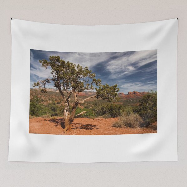 Item preview, A Distant Courthouse - 1 © designed and sold by © Hany G. Jadaa © Prince John Photography.