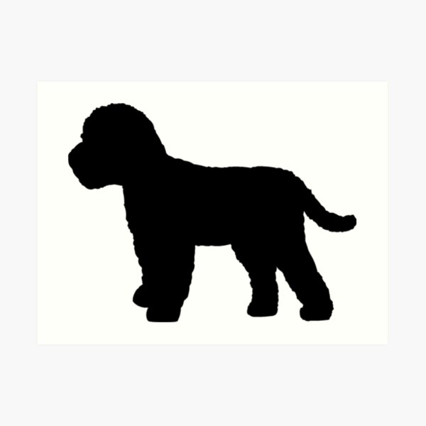 "Cockapoo Dog" Art Print for Sale by sweetsixty | Redbubble