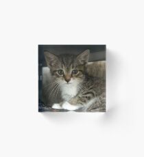 Babyboy PT4 Acrylic Block