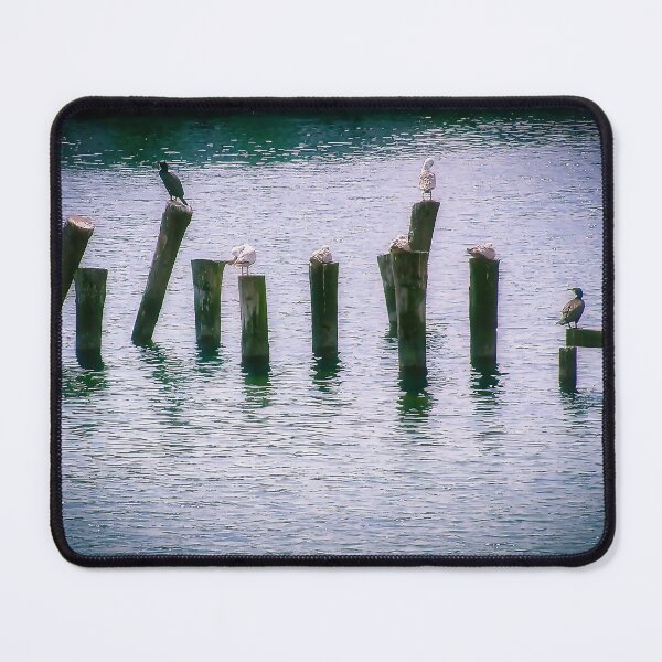 Item preview, Seagulls in the port of Eckernförde on the Baltic Sea designed and sold by Creative Waves Media.