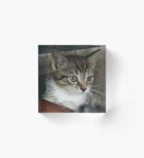 Babyboy PT5 Acrylic Block