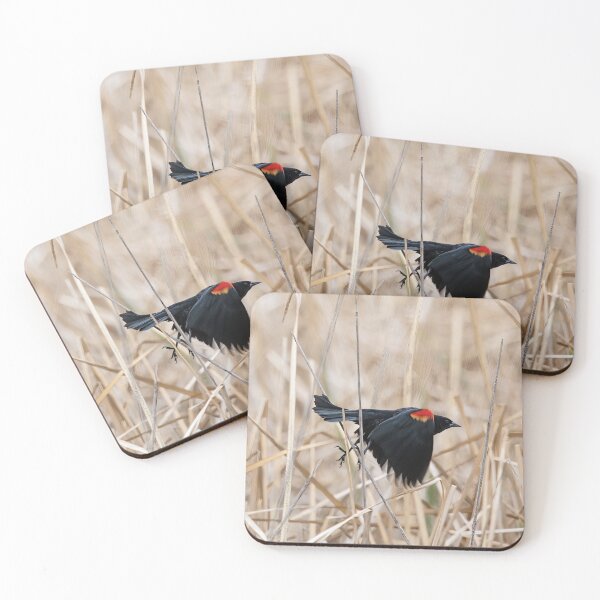 Item preview, Red Winged Blackbird in Flight designed and sold by CarolM.