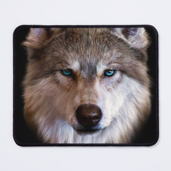 Item preview, Arctic Gaze — Wolf Portrait designed and sold by Massimo Righi.