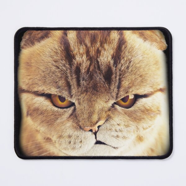 Item preview, Grumpy Royal — Cat Portrait designed and sold by Massimo Righi.