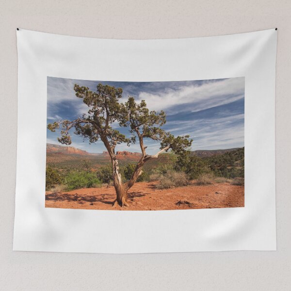 Item preview, A Distant Courthouse - 2 © designed and sold by © Hany G. Jadaa © Prince John Photography.