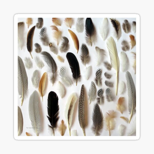 Item preview, Feathers #4 designed and sold by Helen Richards.