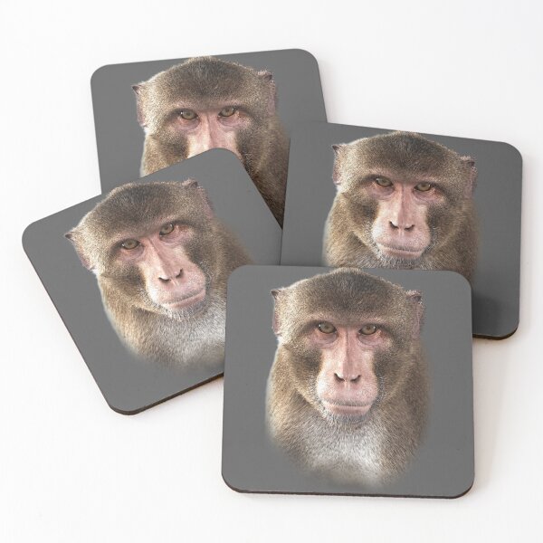 Item preview, Macaque Portrait — Realistic Primate Cutout designed and sold by Massimo Righi.