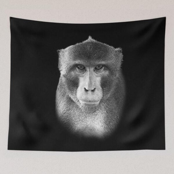 Item preview, Macaque Portrait — Black & White Primate Cutout designed and sold by Massimo Righi.