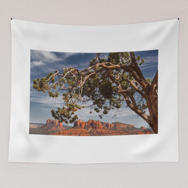 Item preview, A Distant Courthouse - 3 © designed and sold by © Hany G. Jadaa © Prince John Photography.
