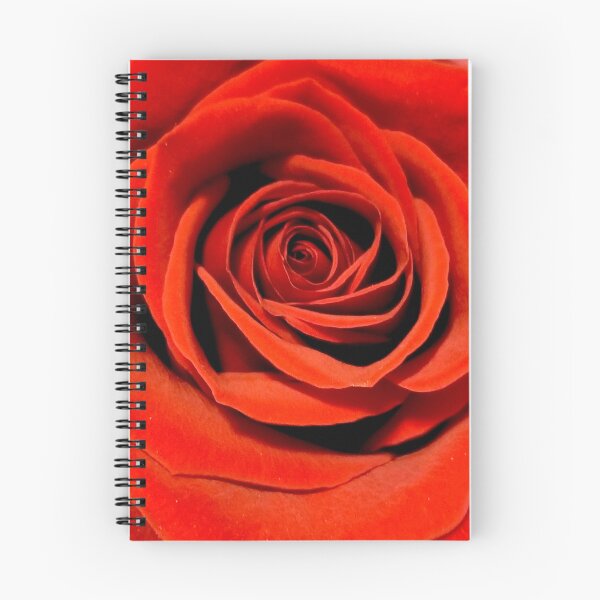 Item preview, Red Rose designed and sold by bjtomiko.