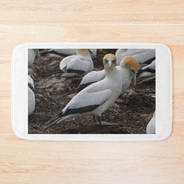 Item preview, Gannet Ground Crew, Cape Kidnappers designed and sold by Jan Fijolek.