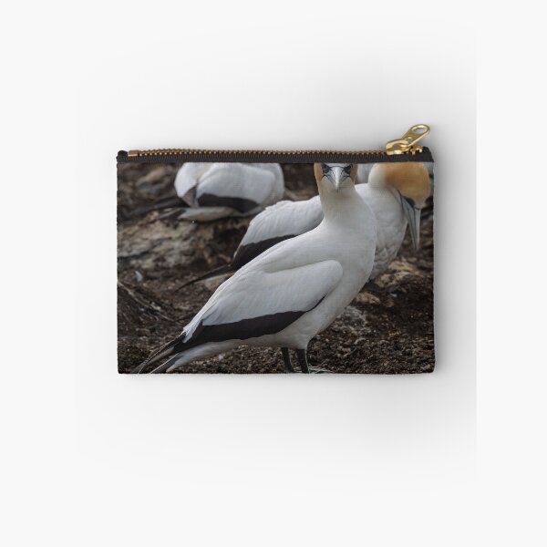 Item preview, Gannet Ground Crew, Cape Kidnappers designed and sold by Jan Fijolek.