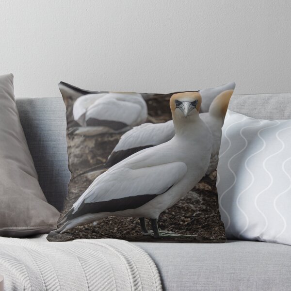Item preview, Gannet Ground Crew, Cape Kidnappers designed and sold by Jan Fijolek.