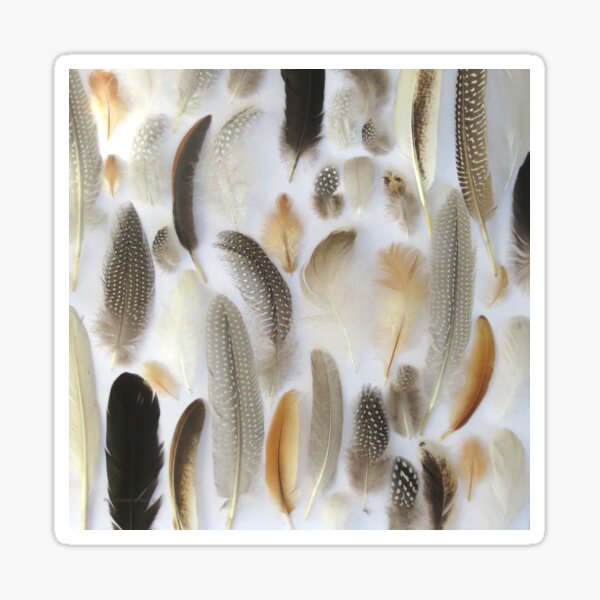 Item preview, Feathers #5 designed and sold by Helen Richards.