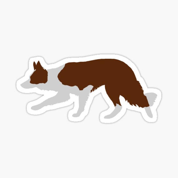 Border Collie (Red and White) Sticker