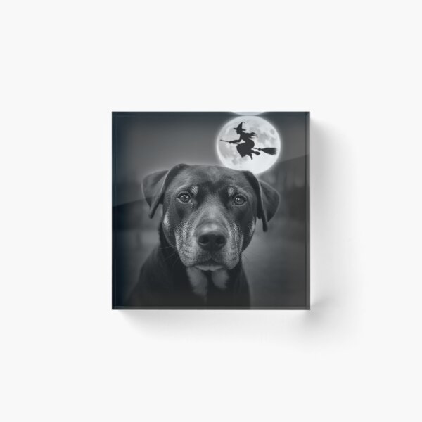 Item preview, Funny Rottweiler Selfie Full Moon Flying Witch Halloween Dog designed and sold by Dolostope.