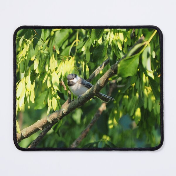 Item preview, Black-capped Chickadee On a Tree Branch designed and sold by BackyardBirder.