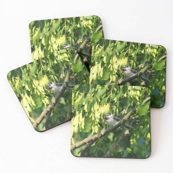 Item preview, Black-capped Chickadee On a Tree Branch designed and sold by BackyardBirder.