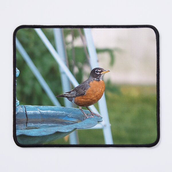Item preview, American Robin On My Bird Bath designed and sold by BackyardBirder.