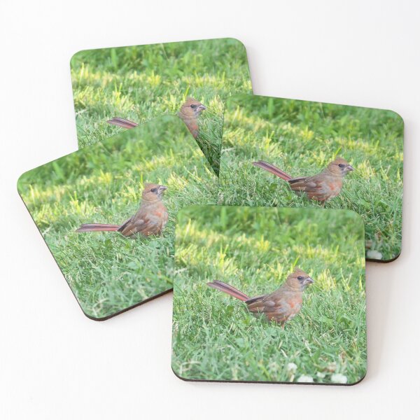 Item preview, Cardinal In The Grass designed and sold by BackyardBirder.