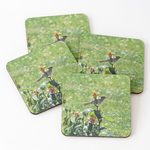 Item preview, Sparrow Perched On a Flower designed and sold by BackyardBirder.