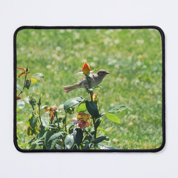 Item preview, Sparrow Perched On a Flower designed and sold by BackyardBirder.