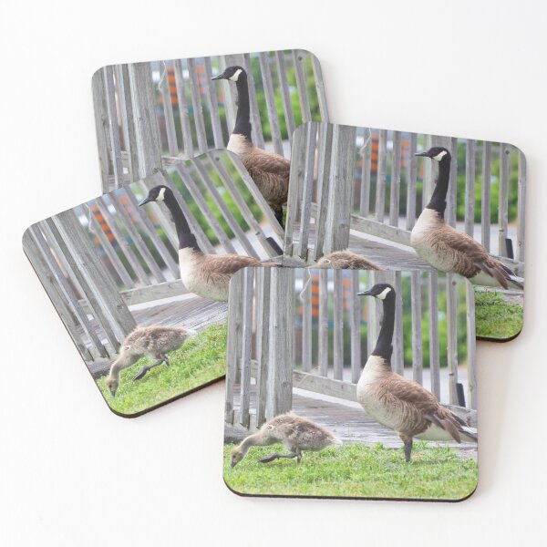 Item preview, Gosling Out For a Walk With Papa designed and sold by BackyardBirder.