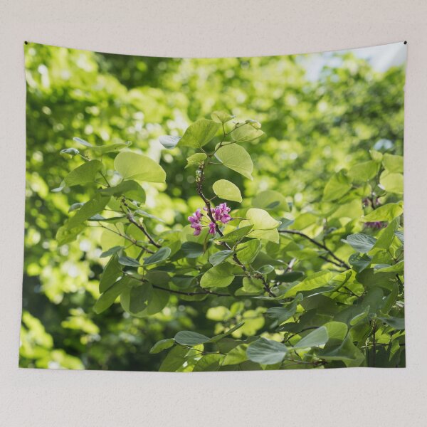 Item preview, The Last Blooms on the Judas Tree designed and sold by Georgia Mizuleva.