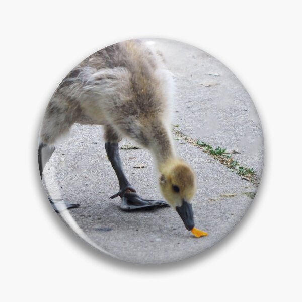 Item preview, Gosling Found a Leaf designed and sold by BackyardBirder.