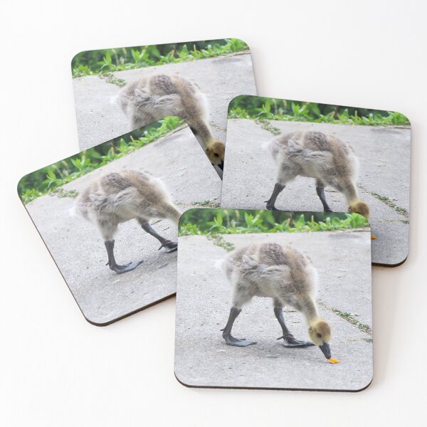 Item preview, Gosling Found a Leaf designed and sold by BackyardBirder.