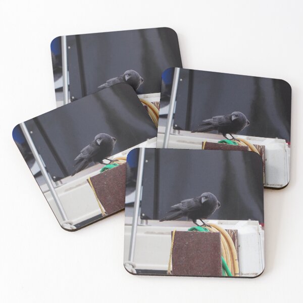 Item preview, Crow On a Boat Dock designed and sold by BackyardBirder.