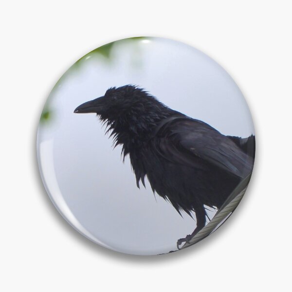 Item preview, Wet Crow Perched On a Wire designed and sold by BackyardBirder.