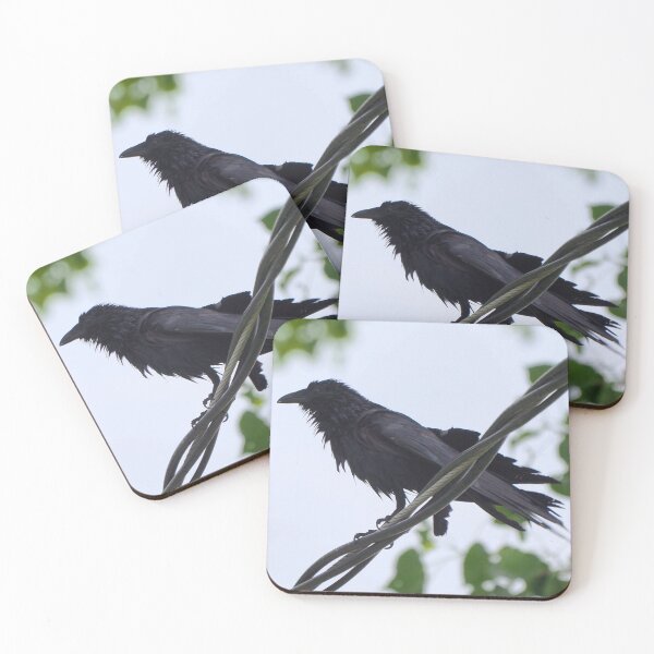 Item preview, Wet Crow Perched On a Wire designed and sold by BackyardBirder.