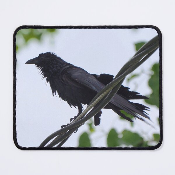 Item preview, Wet Crow Perched On a Wire designed and sold by BackyardBirder.