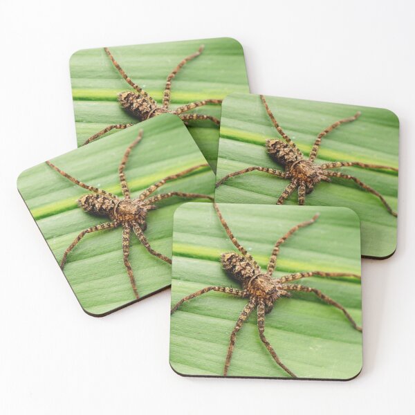Item preview, Australian Jungle Huntsman spider designed and sold by robdwildlife.