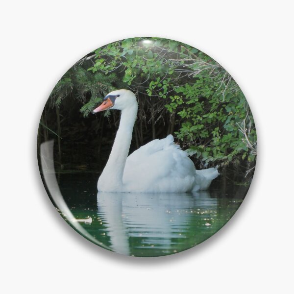Item preview, Mute Swan Resting In a Pond designed and sold by BackyardBirder.