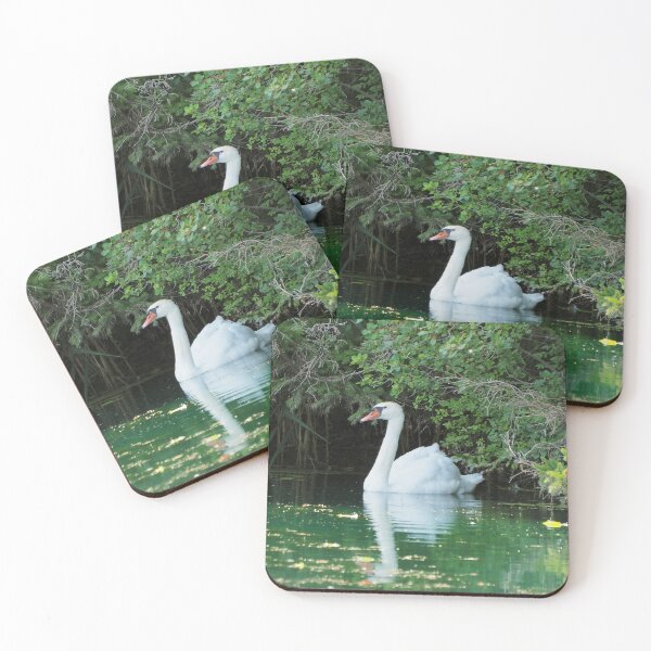 Item preview, Mute Swan Resting In a Pond designed and sold by BackyardBirder.