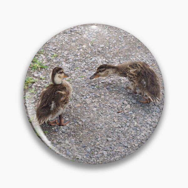 Item preview, Two Young Ducklings Out For a Walk designed and sold by BackyardBirder.