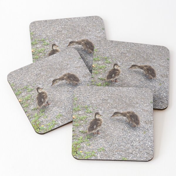Item preview, Two Young Ducklings Out For a Walk designed and sold by BackyardBirder.